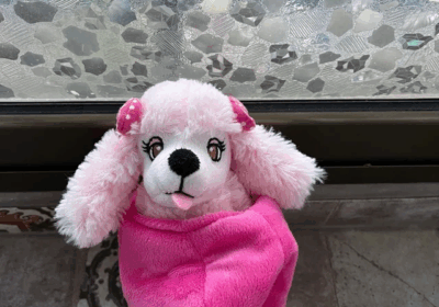 Peluche caniche rosa con bolso